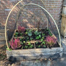 Moestuin peuteropvang Alkmaar