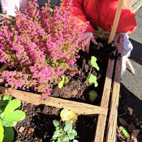 moestuin De Eenhoorn peuters